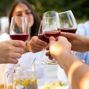De ideale wijn voor een familiefeest