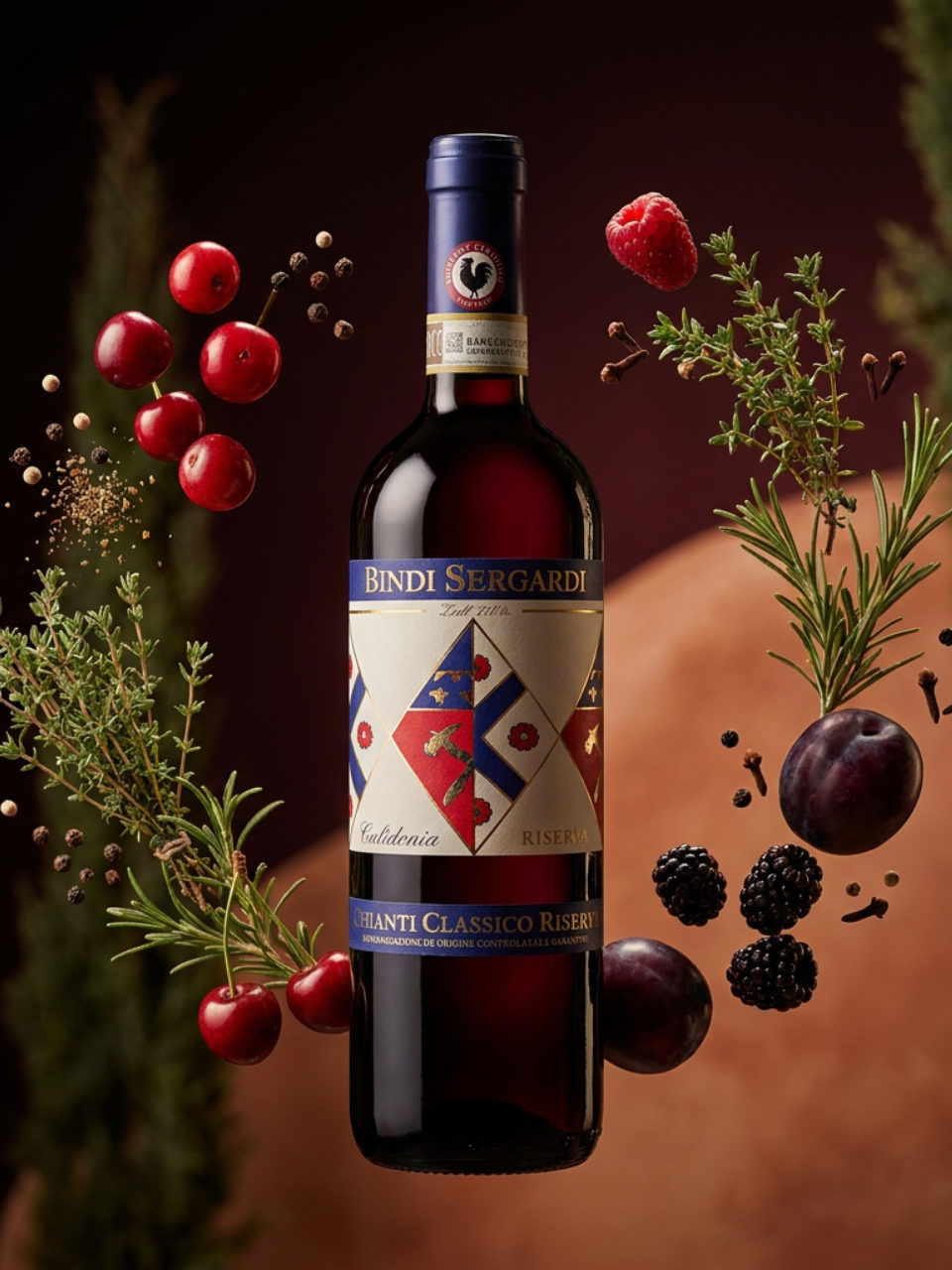 Productfoto van Bindi Sergardi Chianti Classico Riserva, rood in het assortiment van De Proeverij