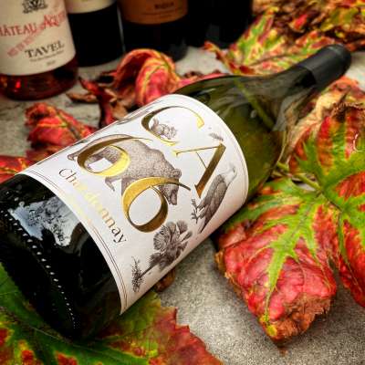 CA66 Chardonnay uit Oostenrijk