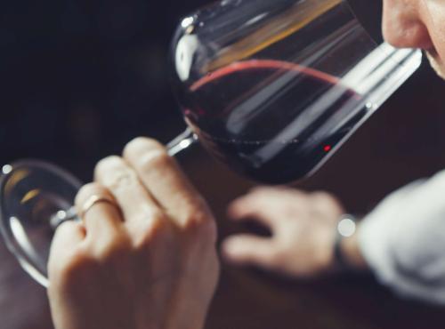 De kunst van het wijnproeven